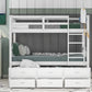 Twin over Twin Wood Bunk Bed with Trundle and Drawers White