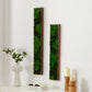 Rectangular Mixed Moss Wall Art, only the Medium